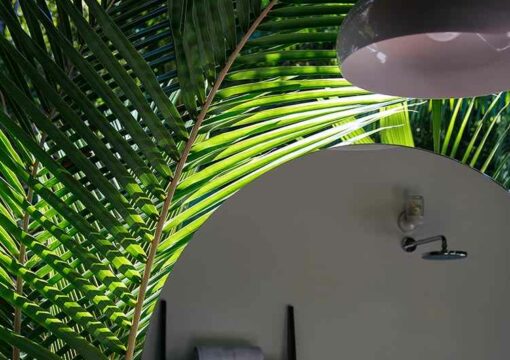 Chambre Victoria